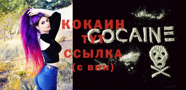 мет Ладушкин