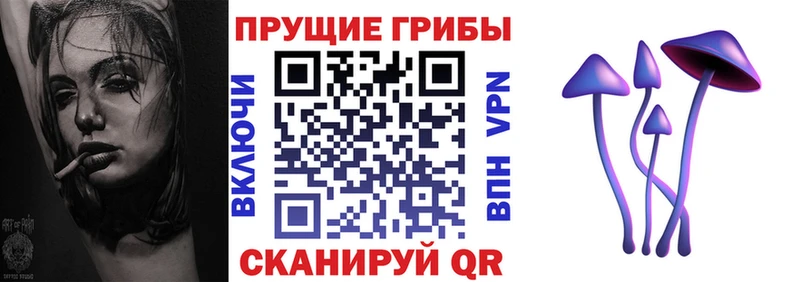 Галлюциногенные грибы Cubensis  Ленинск 